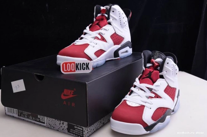 Rep 6 'CARMINE' JORDAN RETRO CT8529-106 2021 AIR 0825